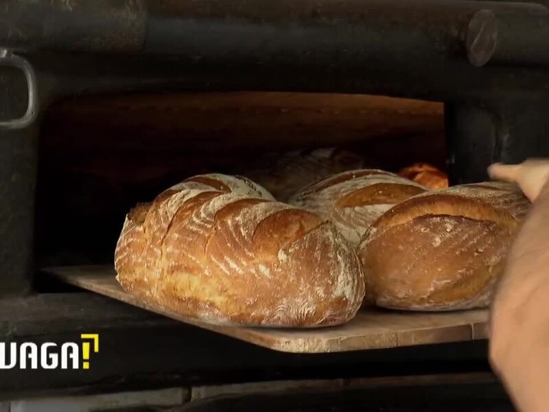 Jaki jest sekret dobrego chleba? Ten eksperyment daje do myślenia. "Faworyt ze sklepu mocno spleśniał"